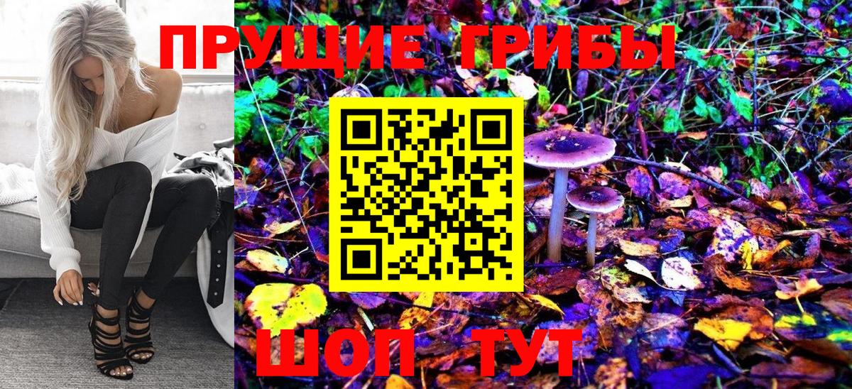 Галлюциногенные грибы Cubensis Гусиноозёрск